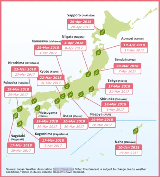 วางแผนเที่ยวญี่ปุ่นยังไงให้ตรงปก