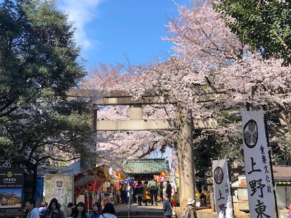มาชมซากุระที่อุเอโนะ แวะเข้าไปชมต่อที่ Ueno Toshogu Shrine  กันเถอะ