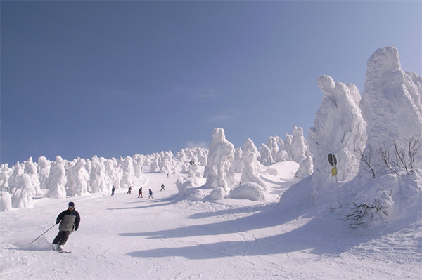 การบินไทยบินตรงเซนได ชวนเที่ยวโทโฮขุหน้าหนาว แช่ออนเซน เล่นสกี ล้มตัวลงบนหิมะฟูๆ