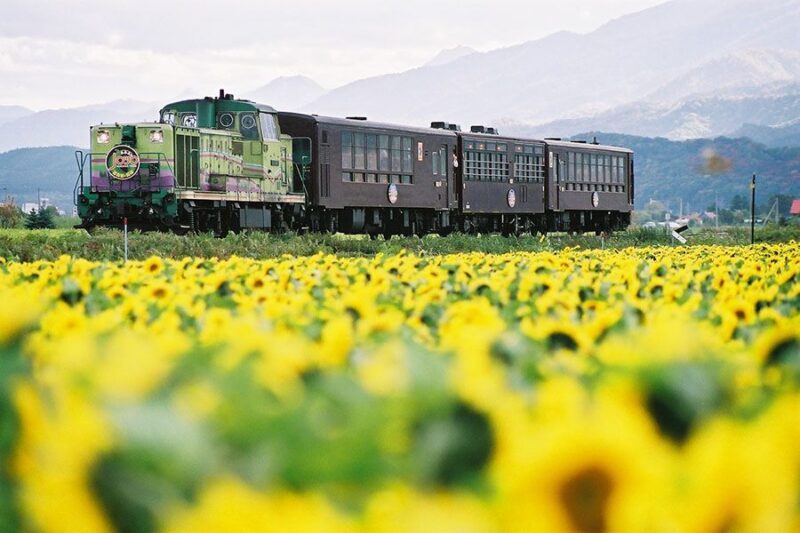 เพลิดเพลินสุดๆ กับธรรมชาติในฤดูร้อนของฮอกไกโดด้วยรถไฟท่องเที่ยวและพาสสุดคุ้ม!