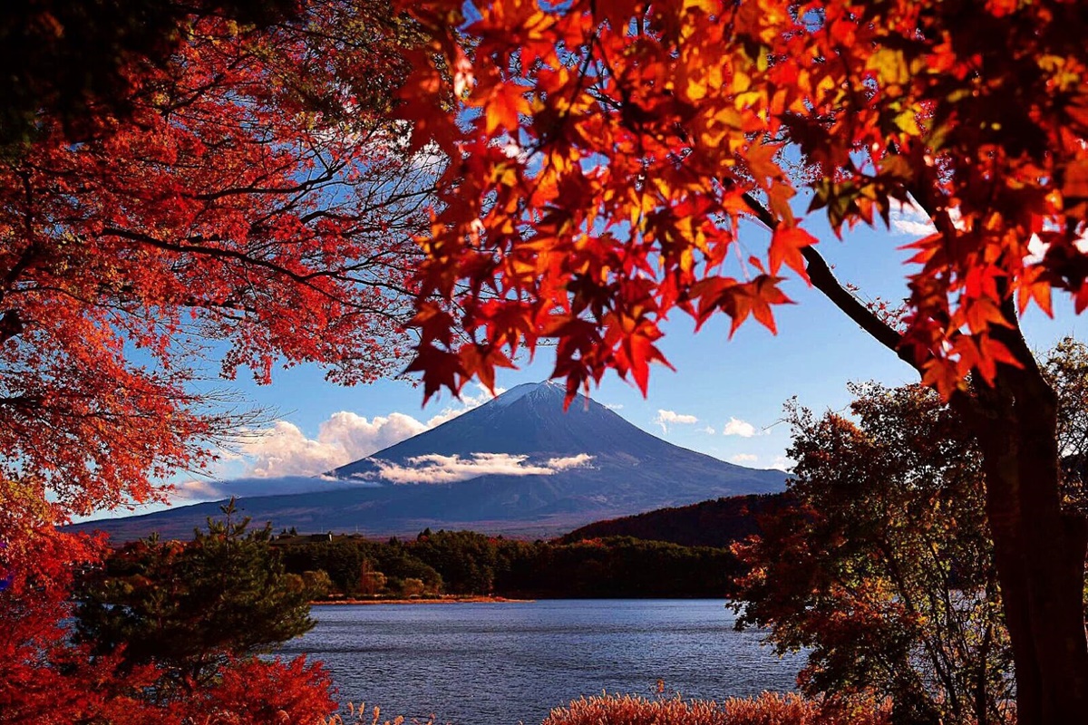 ประกาศแล้ว ! พยากรณ์ช่วงเวลาที่เหมาะสำหรับชมใบไม้เปลี่ยนสีในญี่ปุ่นมากที่สุด  | Marumura Travel : วางแผนเที่ยวญี่ปุ่นด้วยตัวเอง :